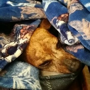 Mom is Poshing again